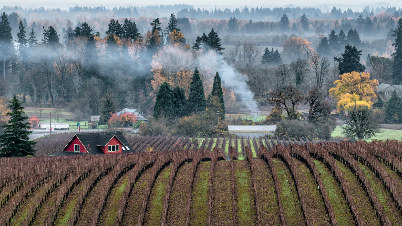 Gervais Oregon